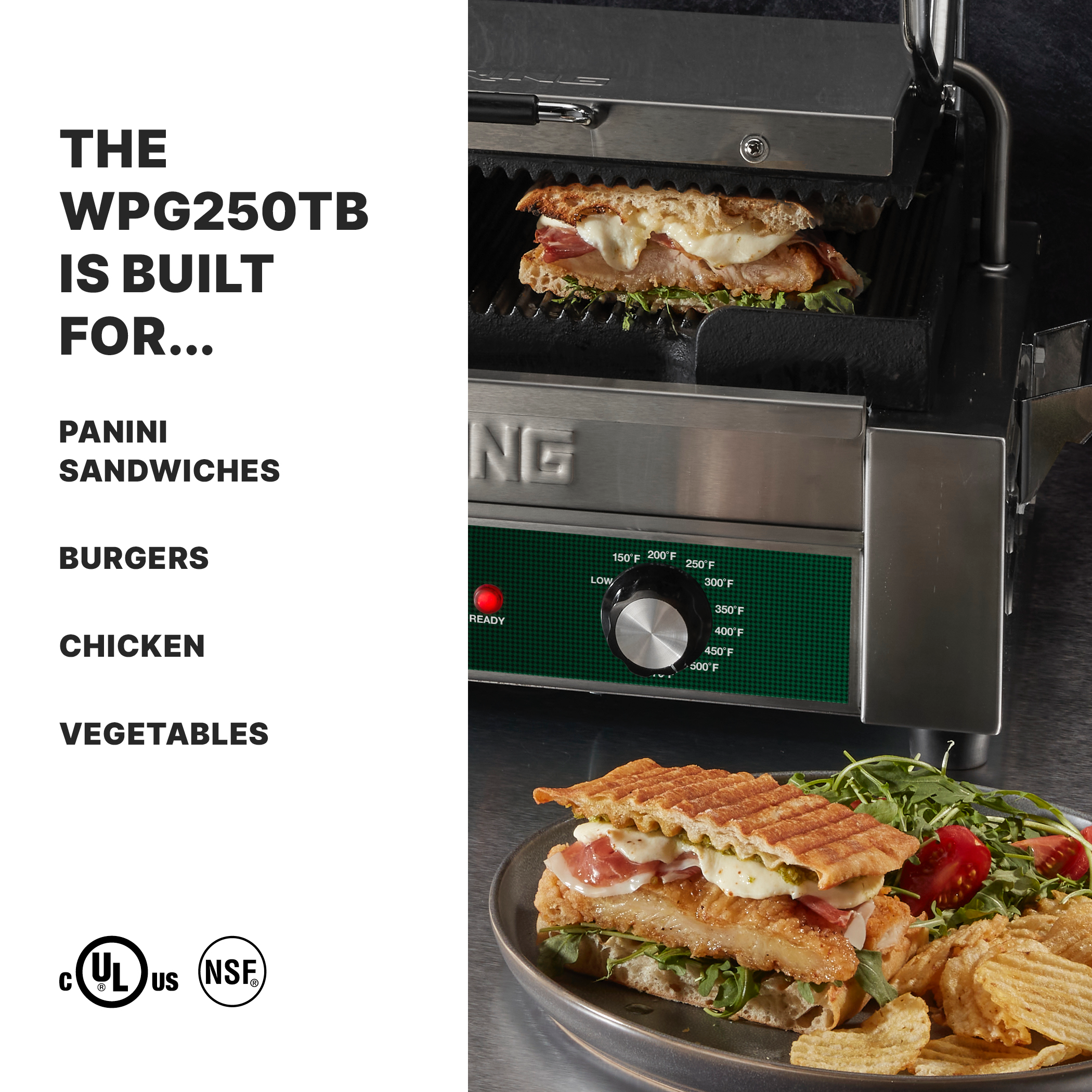 Ribbed Panini Grill with Timer, 14.5" x 11", 208 Volt